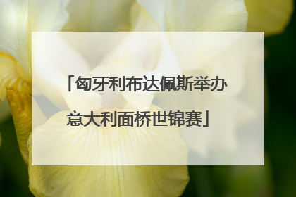匈牙利布达佩斯举办意大利面桥世锦赛
