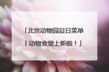 北京动物园夏日菜单丨动物食堂上新啦！