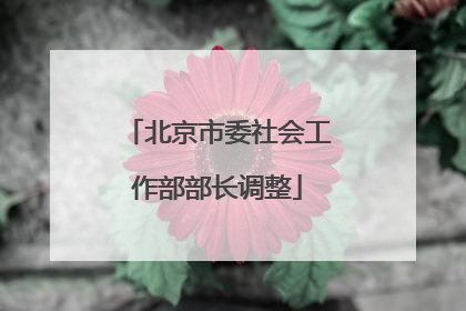 北京市委社会工作部部长调整