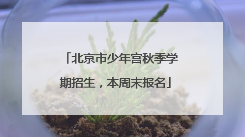 北京市少年宫秋季学期招生，本周末报名