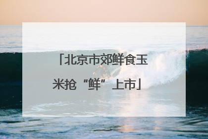 北京市郊鲜食玉米抢“鲜”上市