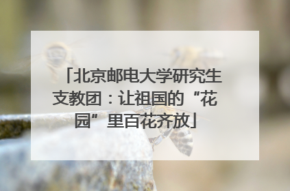 北京邮电大学研究生支教团：让祖国的“花园”里百花齐放