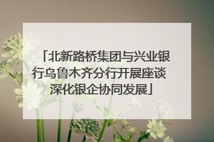 北新路桥集团与兴业银行乌鲁木齐分行开展座谈 深化银企协同发展