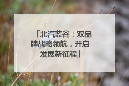 北汽蓝谷：双品牌战略领航，开启发展新征程