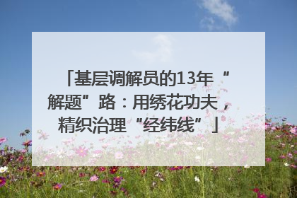 基层调解员的13年“解题”路：用绣花功夫，精织治理“经纬线”