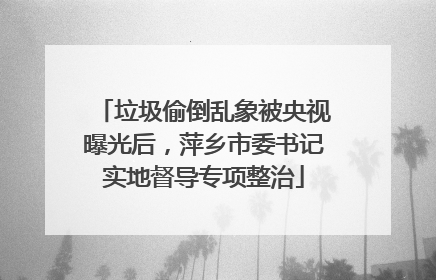 垃圾偷倒乱象被央视曝光后，萍乡市委书记实地督导专项整治