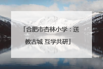 合肥市杏林小学：送教古城 互学共研
