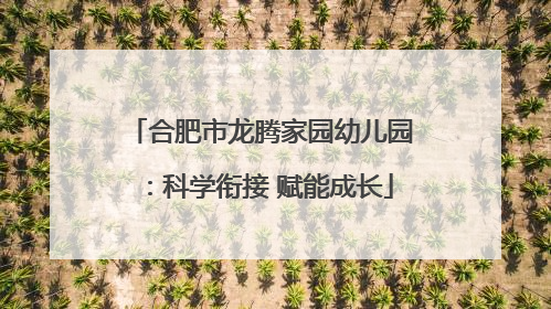 合肥市龙腾家园幼儿园：科学衔接 赋能成长