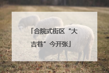 合院式街区“大吉巷”今开张