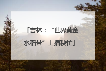 吉林：“世界黄金水稻带”上插秧忙