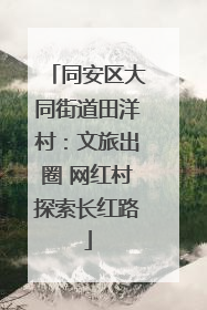 同安区大同街道田洋村：文旅出圈 网红村探索长红路