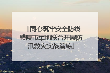 同心筑牢安全防线 醴陵市军地联合开展防汛救灾实战演练