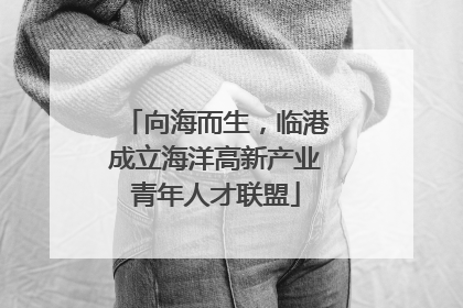 向海而生，临港成立海洋高新产业青年人才联盟