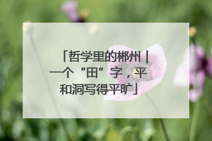 哲学里的郴州｜一个“田”字，平和洞写得平旷