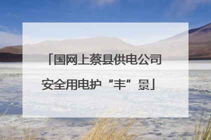 国网上蔡县供电公司安全用电护“丰”景