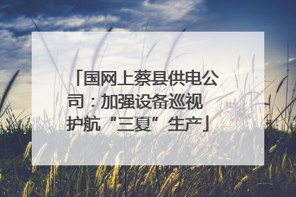 国网上蔡县供电公司：加强设备巡视 护航“三夏”生产