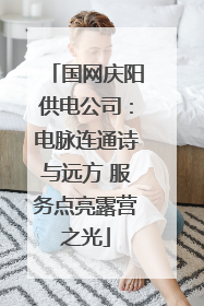 国网庆阳供电公司：电脉连通诗与远方 服务点亮露营之光
