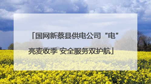 国网新蔡县供电公司“电”亮麦收季 安全服务双护航
