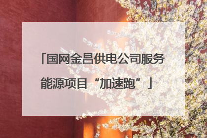 国网金昌供电公司服务能源项目“加速跑”