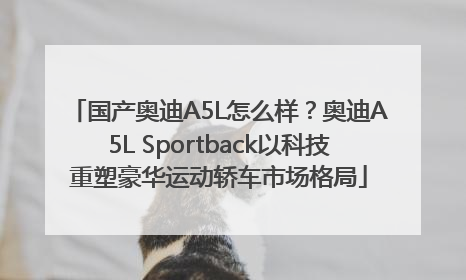 国产奥迪A5L怎么样？奥迪A5L Sportback以科技重塑豪华运动轿车市场格局