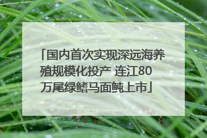 国内首次实现深远海养殖规模化投产 连江80万尾绿鳍马面鲀上市