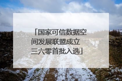 国家可信数据空间发展联盟成立 三六零首批入选