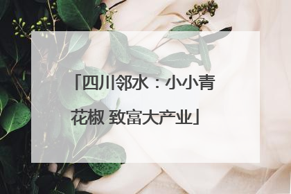 四川邻水：小小青花椒 致富大产业