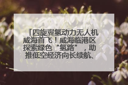 四旋翼氢动力无人机威海首飞！威海临港区探索绿色“氢路”，助推低空经济向长续航、大载重“进化”