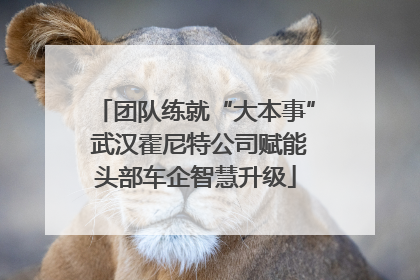 团队练就“大本事” 武汉霍尼特公司赋能头部车企智慧升级