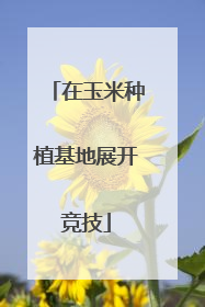 在玉米种植基地展开竞技