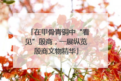 在甲骨青铜中“看见”殷商，一展纵览殷商文物精华