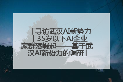 寻访武汉AI新势力︱35岁以下AI企业家群落崛起——基于武汉AI新势力的调研