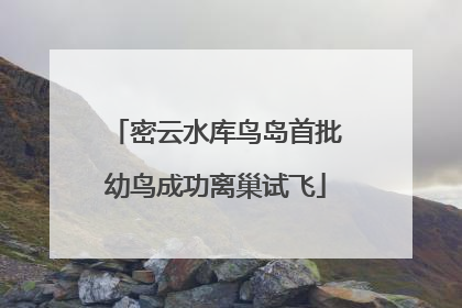 密云水库鸟岛首批幼鸟成功离巢试飞