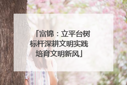富锦：立平台树标杆深耕文明实践培育文明新风