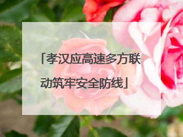 孝汉应高速多方联动筑牢安全防线
