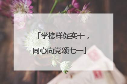 学榜样促实干，同心向党颂七一
