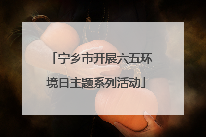 宁乡市开展六五环境日主题系列活动
