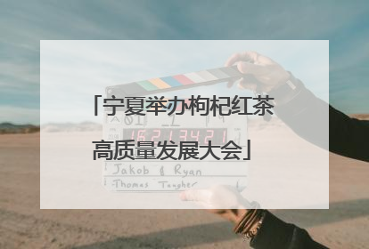 宁夏举办枸杞红茶高质量发展大会
