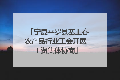 宁夏平罗县塞上春农产品行业工会开展工资集体协商