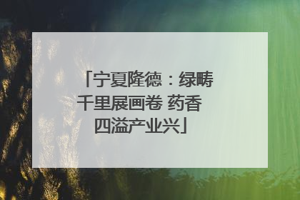 宁夏隆德：绿畴千里展画卷 药香四溢产业兴