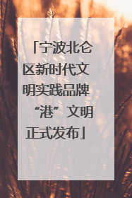 宁波北仑区新时代文明实践品牌“港”文明正式发布