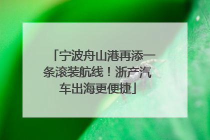 宁波舟山港再添一条滚装航线！浙产汽车出海更便捷