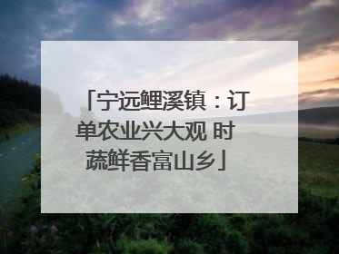 宁远鲤溪镇：订单农业兴大观 时蔬鲜香富山乡