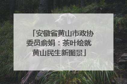 安徽省黄山市政协委员俞娟：茶叶绘就黄山民生新图景