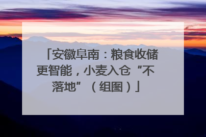 安徽阜南：粮食收储更智能，小麦入仓“不落地”（组图）