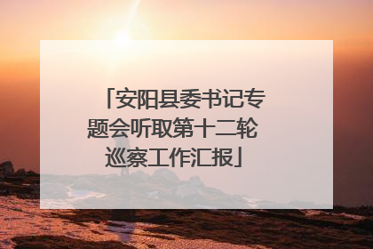 安阳县委书记专题会听取第十二轮巡察工作汇报