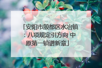 安阳市殷都区水冶镇：八项规定引方向 中原第一镇谱新章