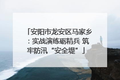 安阳市龙安区马家乡：实战演练砺精兵 筑牢防汛“安全堤”