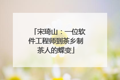 宋琦山：一位软件工程师到茶乡制茶人的蝶变