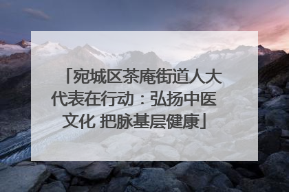 宛城区茶庵街道人大代表在行动：弘扬中医文化 把脉基层健康